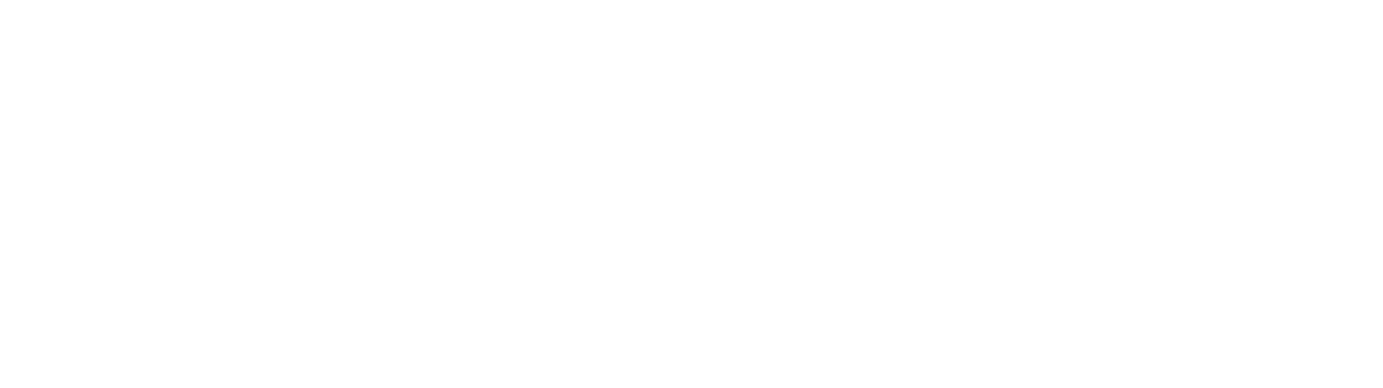 Looking Out Foundation